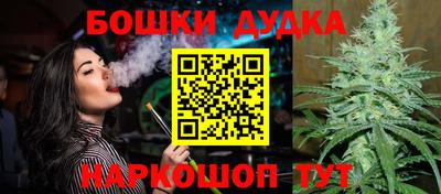 дмт Сланцы