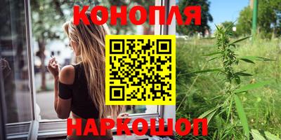 прущие грибы Славгород