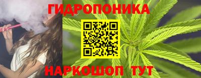 дмт Сланцы