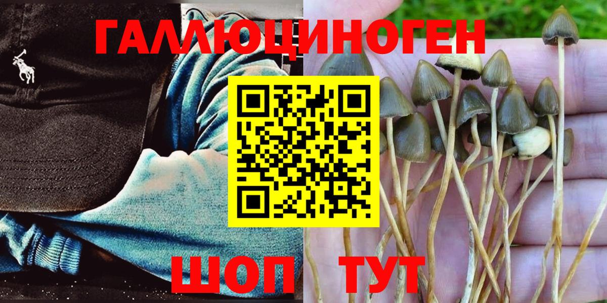 Галлюциногенные грибы Magic Shrooms Дубна