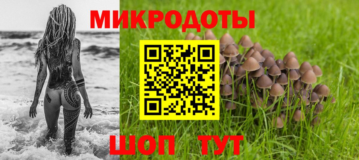 Дубна  наркотики  Вход с VPN  Псилоцибиновые грибы прущие грибы 
